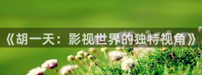 奇领6080奇领影院奇领yy6080电视剧