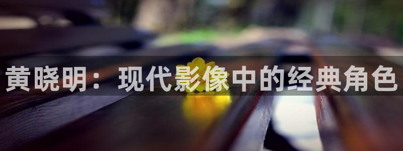 yy6080私人影院在线观看